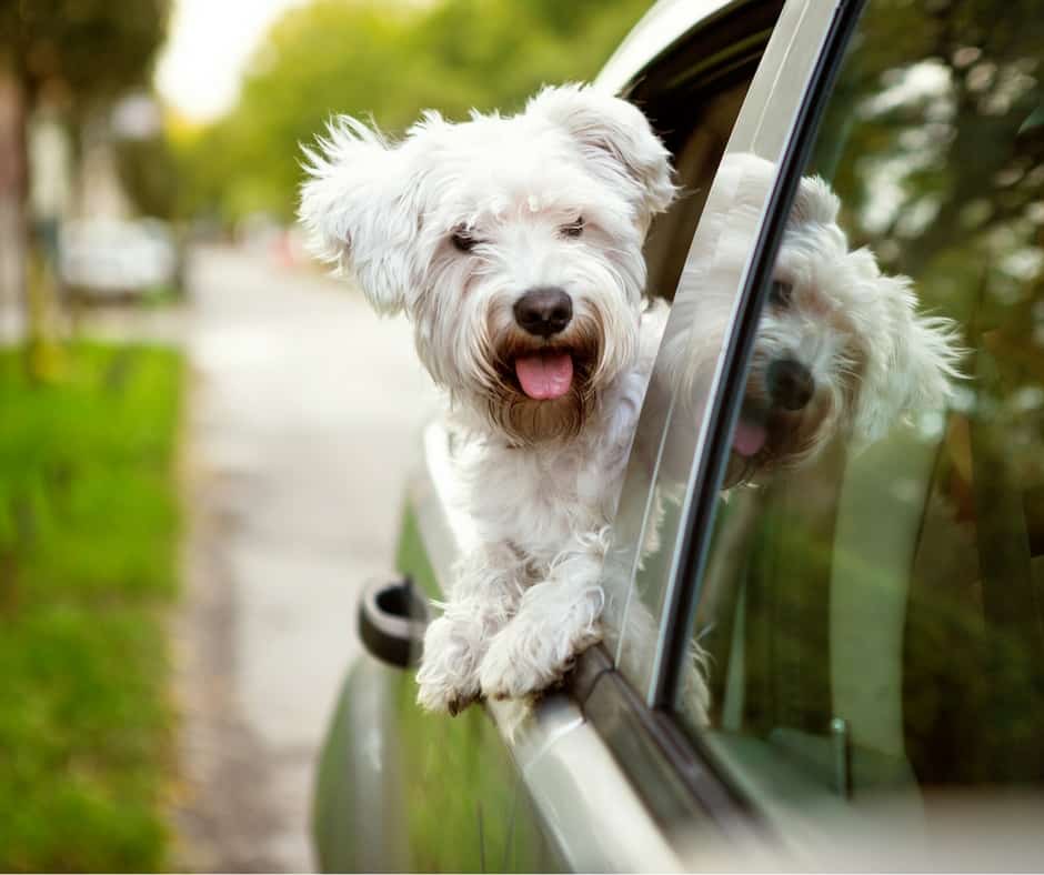 How to Road Trip or Move on a Budget