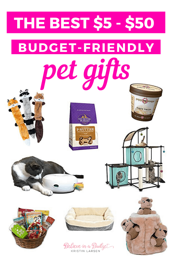 These are the best budget-friendly pet gifts that range from $5 to $50. Find something on this list for your dog or cat! 