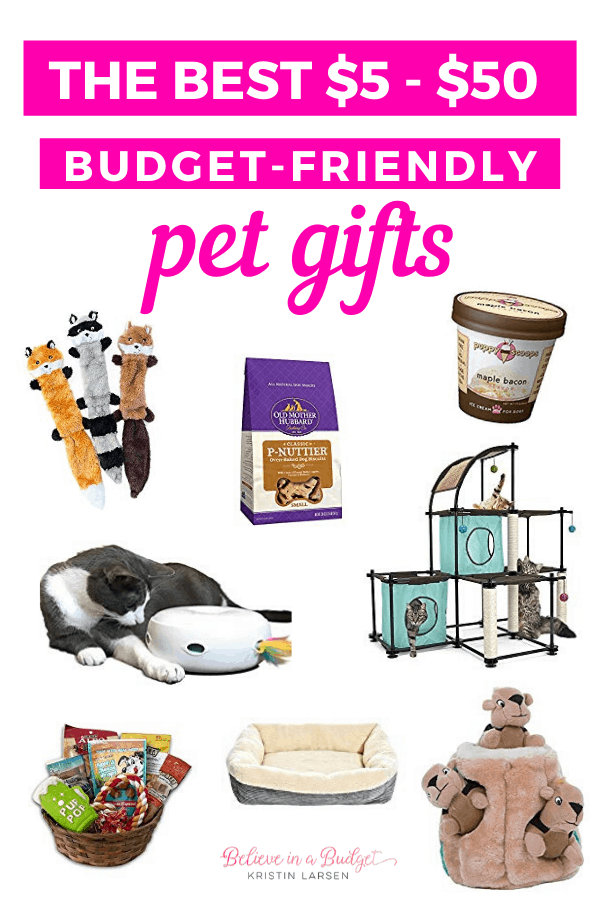 Best things to buy for your dog best sale