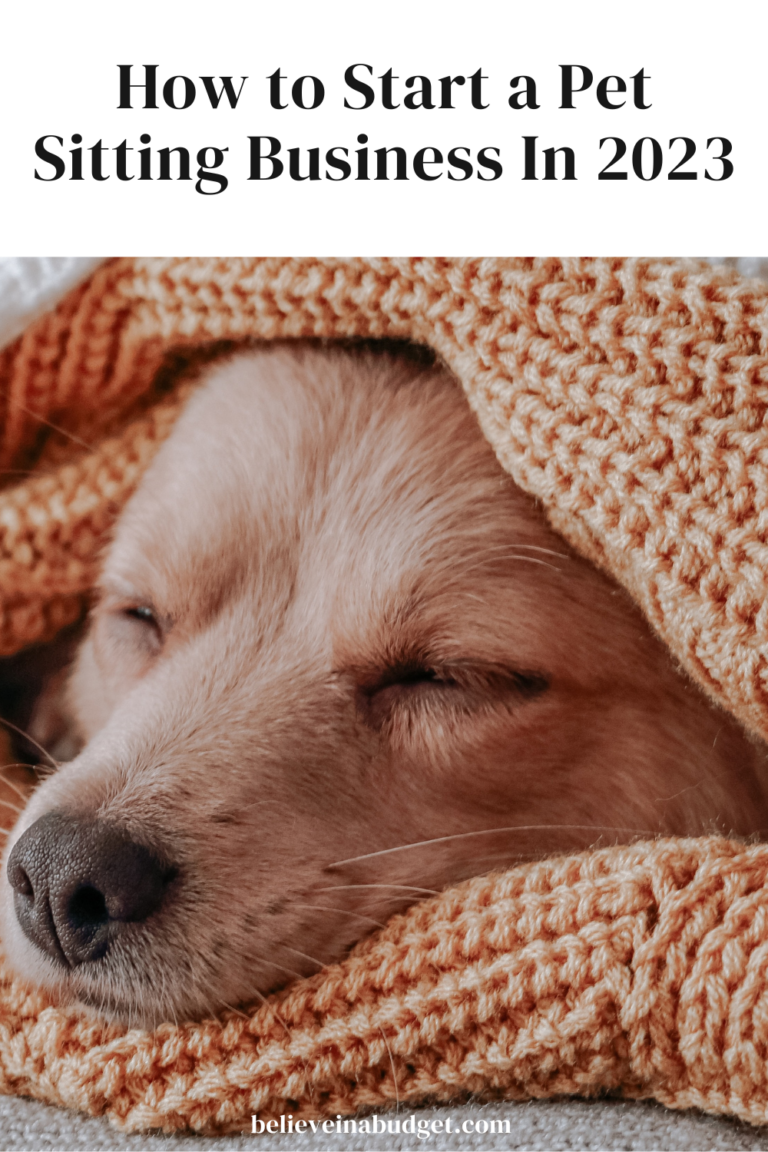 How to Start a Pet Sitting Business