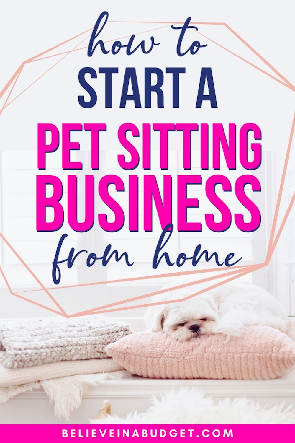 How to Start a Pet Sitting Business