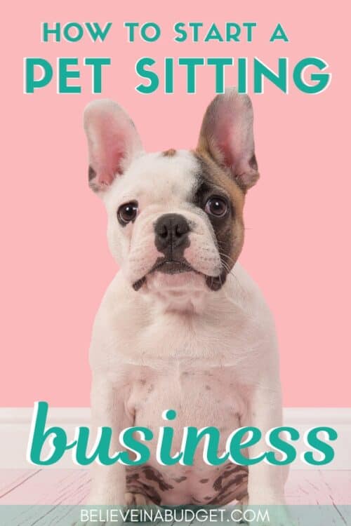 How to Start a Pet Sitting Business Hustle Economic