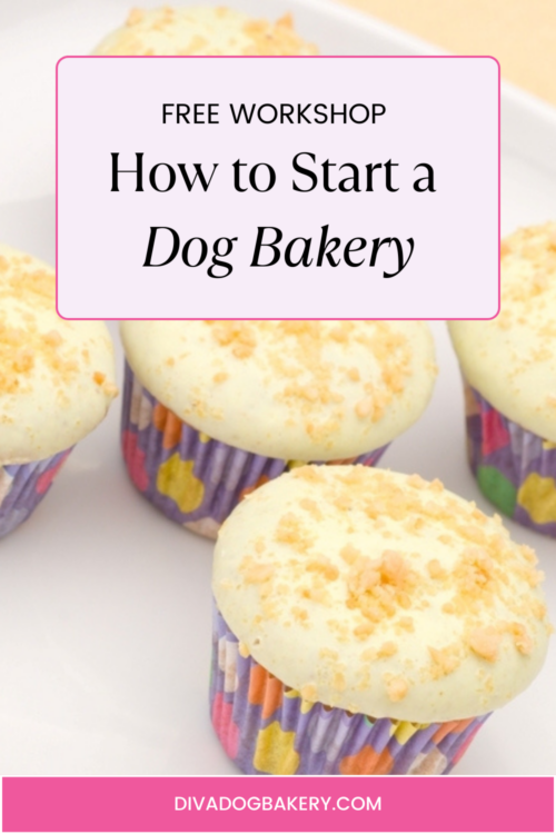 How to Start a Blog Today