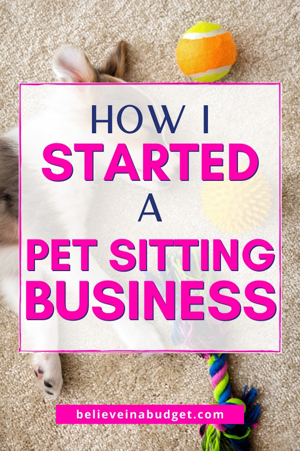 How to Start a Pet Sitting Business