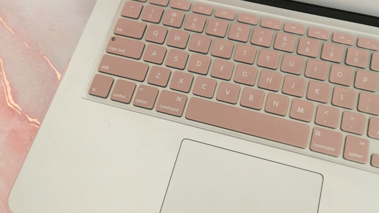 The Best Blogging Courses for Newbies